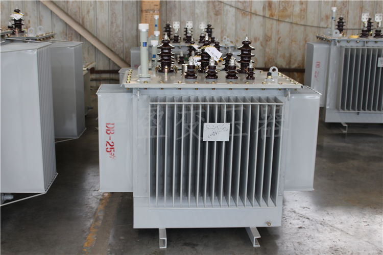 防城港S20-800kVA/10kV/0.4kV变压器